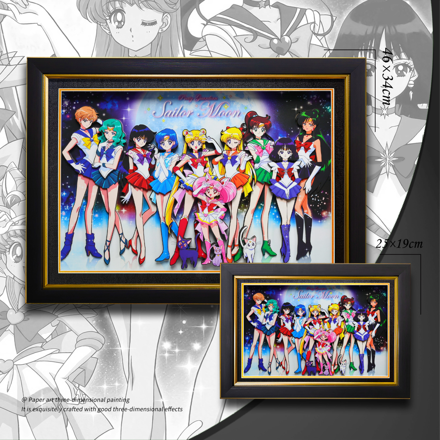 美少女戰士 3D立體畫-CASEZONE