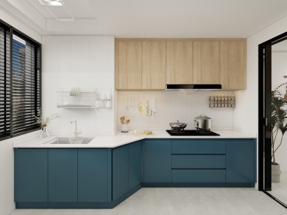 Kitchen cabinets case0020