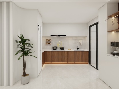 Kitchen cabinets case0016