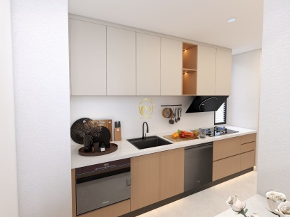 Kitchen cabinets case0018