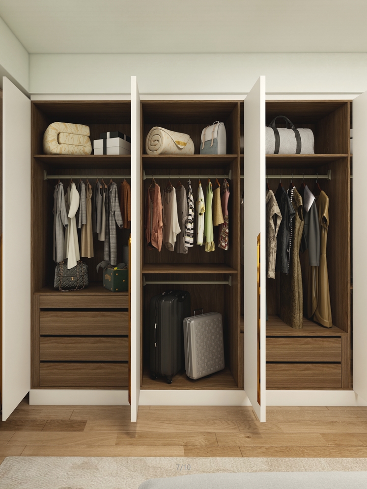 Wardrobe0001-Extreme Space Furnishings