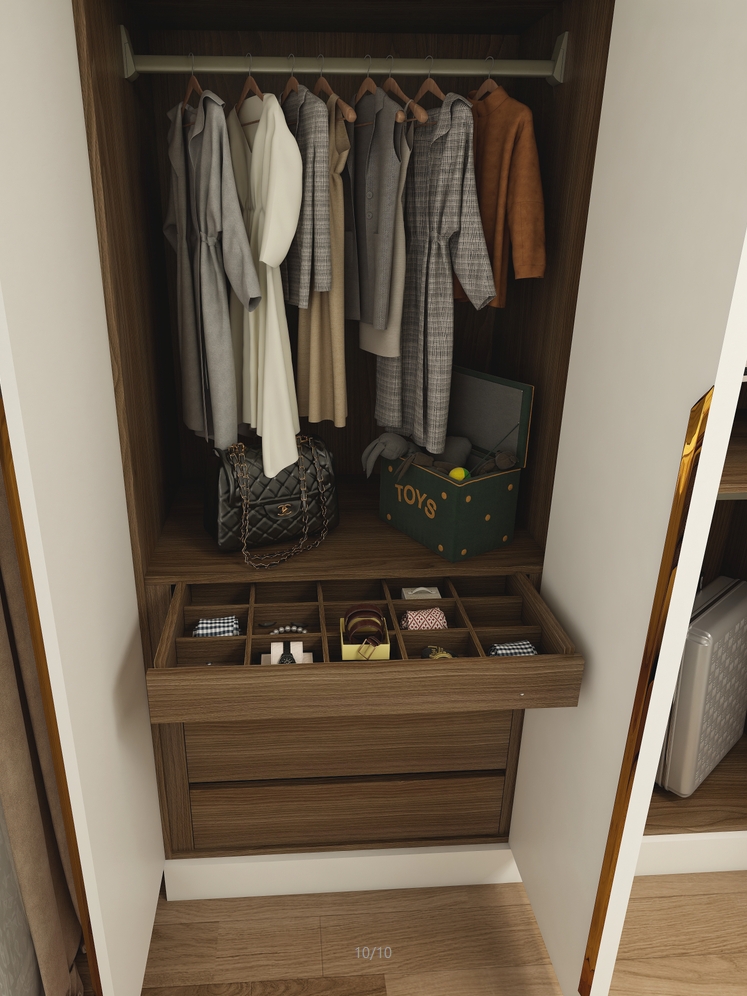 Wardrobe0001-Extreme Space Furnishings