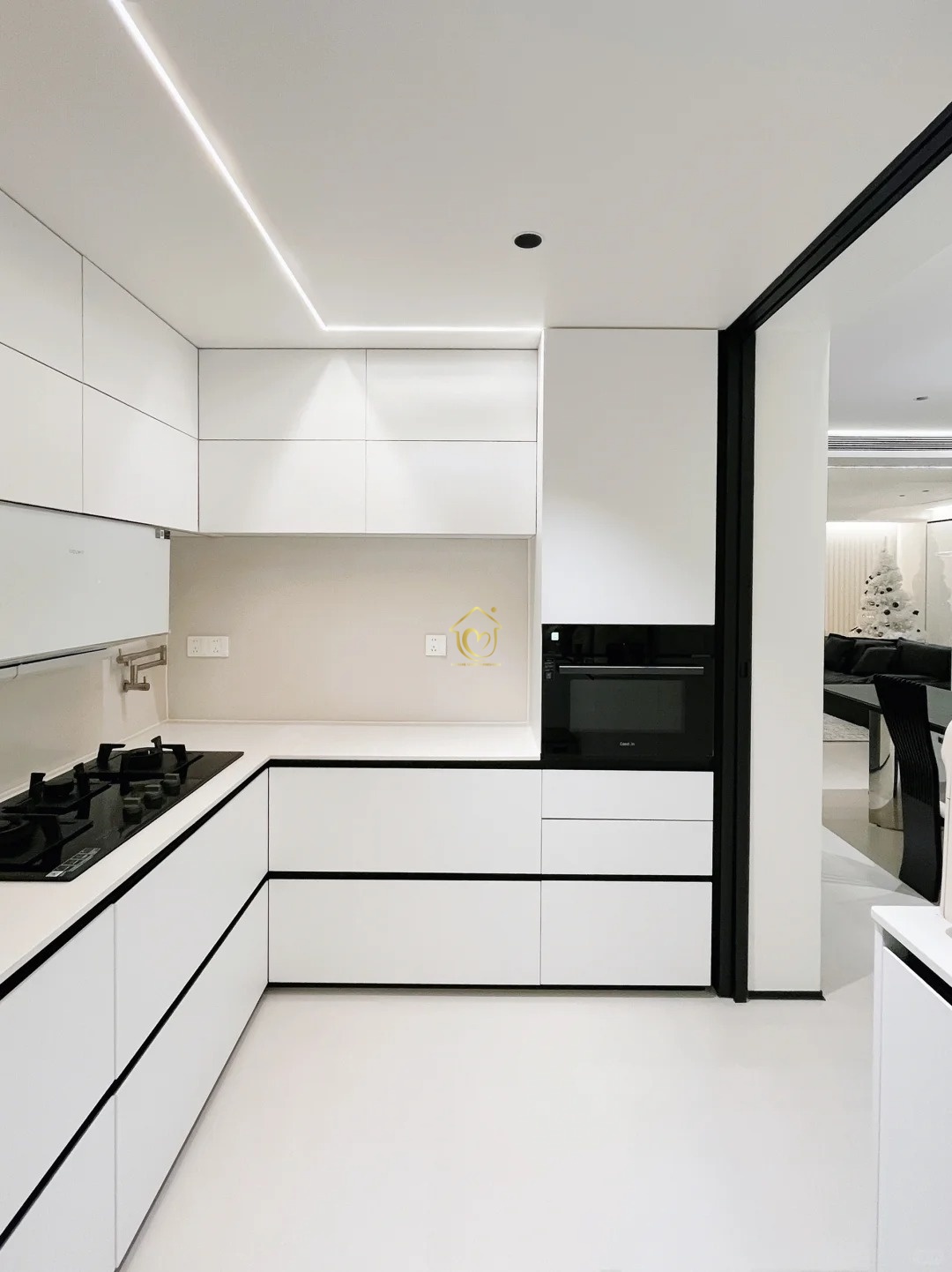 Kitchen cabinets case0013-Extreme Space Furnishings