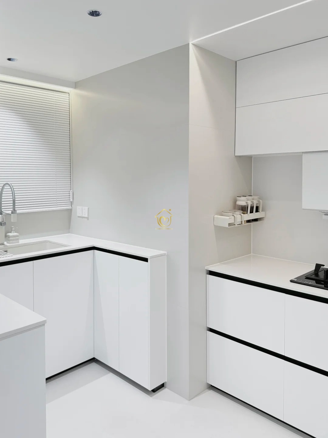 Kitchen cabinets case0013-Extreme Space Furnishings