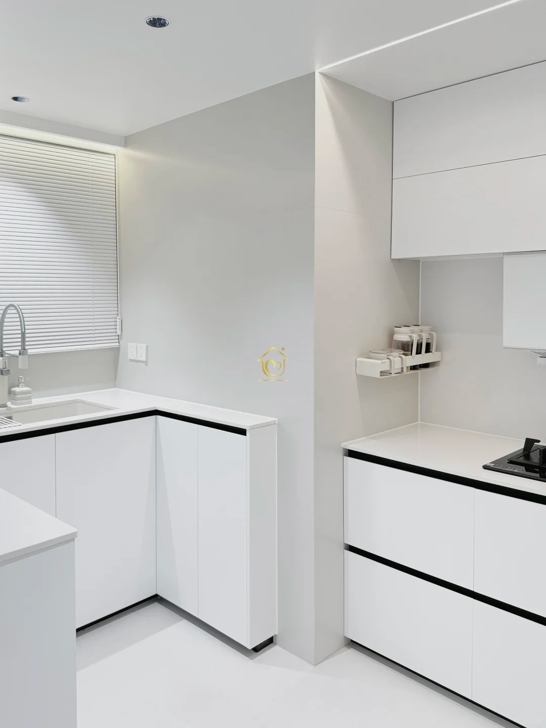 Kitchen cabinets case0013-Extreme Space Furnishings