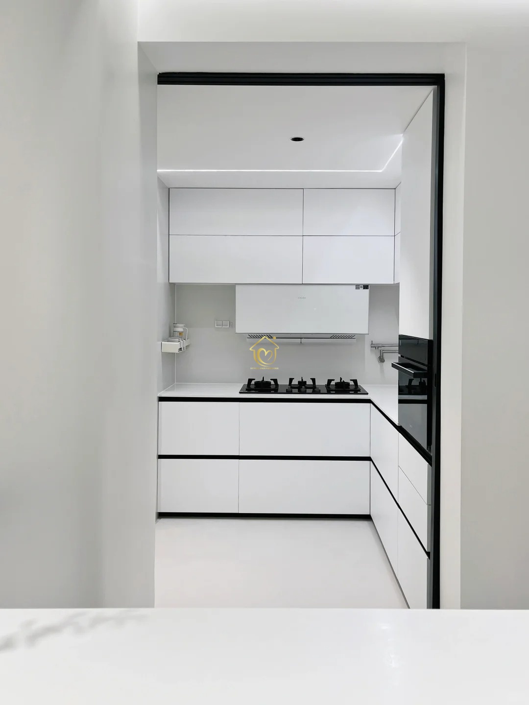 Kitchen cabinets case0013-Extreme Space Furnishings