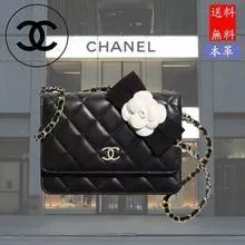 미니 체인 지갑