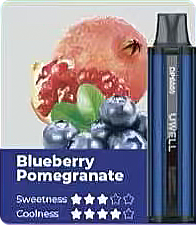 UWELL DP6000 Blueberry Pomegranate Disposable (1pcs)-AUVAPING