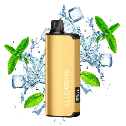 ALIBARBAR INGOT 9000 Miami Mint Disposable (1pcs)