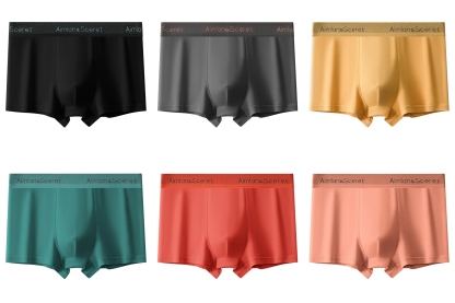 SilkFusion Premium Trunk – Pack of 6