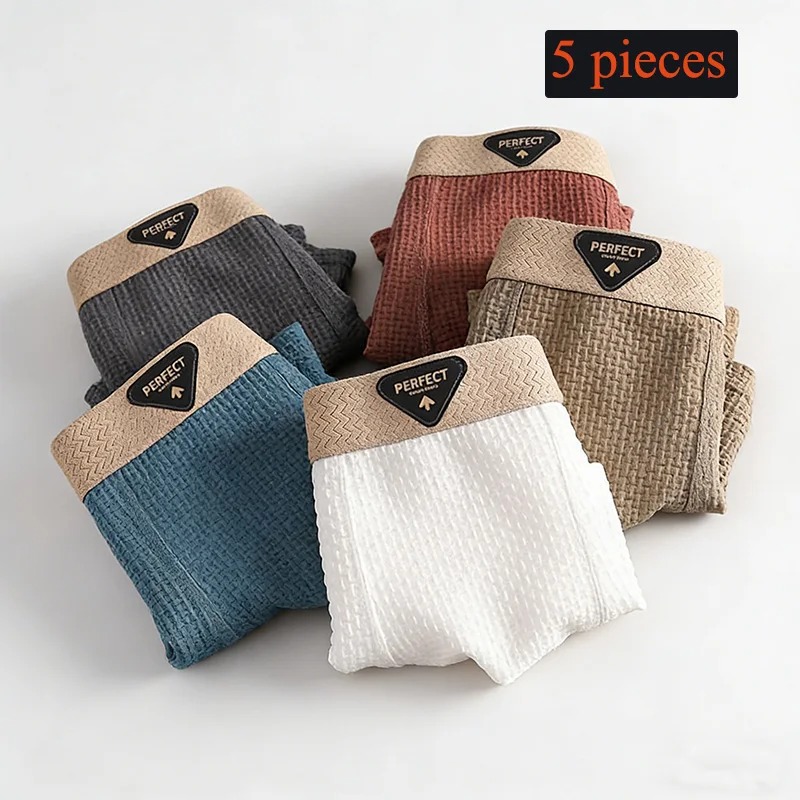 A 5-piece simple and casual men's underwear set