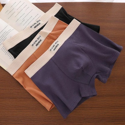 5 Pcs Man Underwear Cotton Boxers man