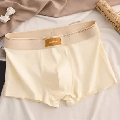 CottonCraft 5-Pack Briefs