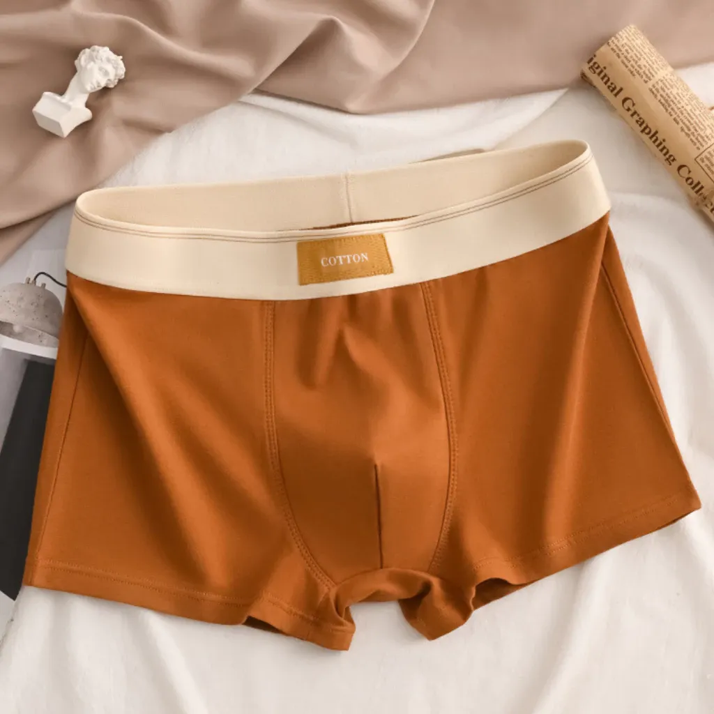 CottonCraft 5-Pack Briefs