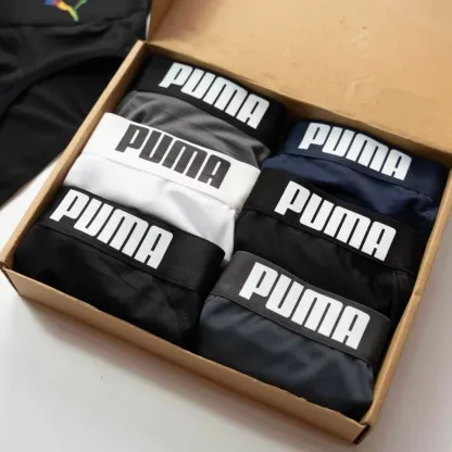 Box of 5  Men's Briefs