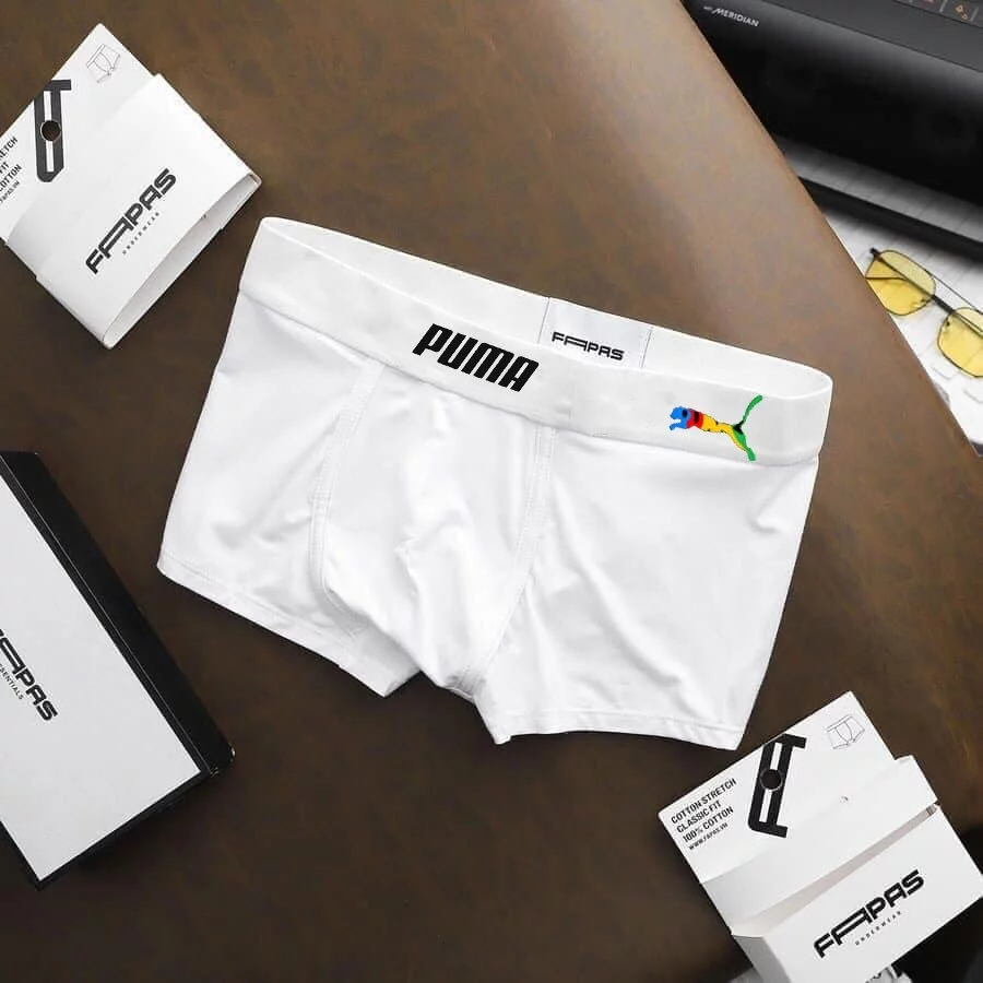 Box of 5  Men's Briefs