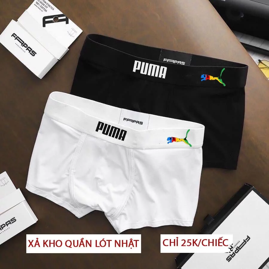 Box of 5  Men's Briefs