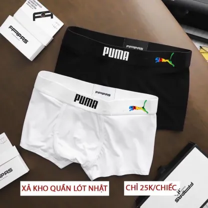 Box of 5  Men's Briefs