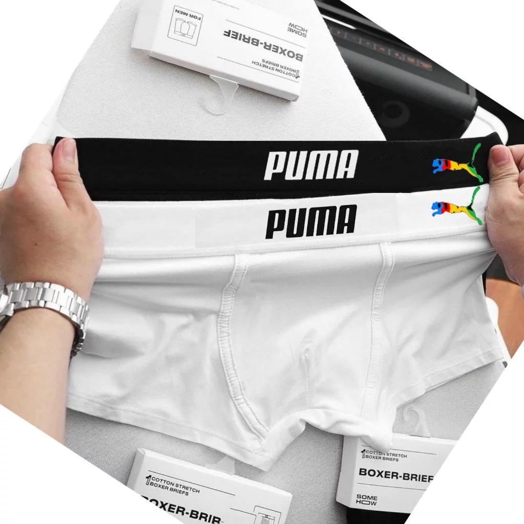 Box of 5  Men's Briefs