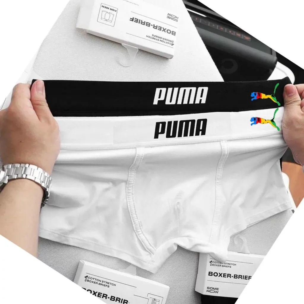 Box of 5  Men's Briefs