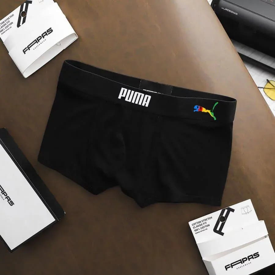 Box of 5  Men's Briefs