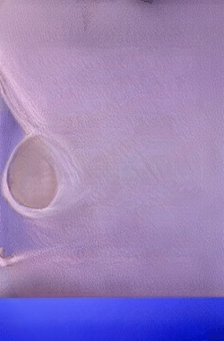 สกัดน้ำมันคริลล์ 1 เม็ด จากคริลล์ 10 จิน ทานต่อเนื่อง 1 เดือน ช่วยบรรเทาอาการเวียนศีรษะ มือชา เท้าชา และตะคริวที่ขา