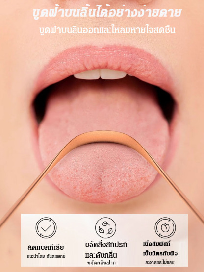 ที่ขูดลิ้นสแตนเลส 304 ทำความสะอาดฝ้าบนลิ้น