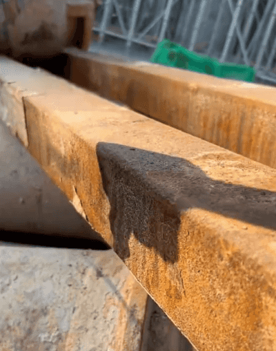 Honeycam 2026-03-09 16-30-42.gif