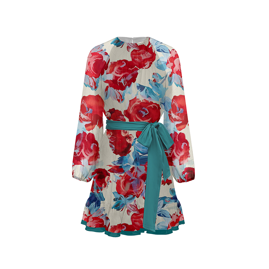 Printed Chiffon Dress