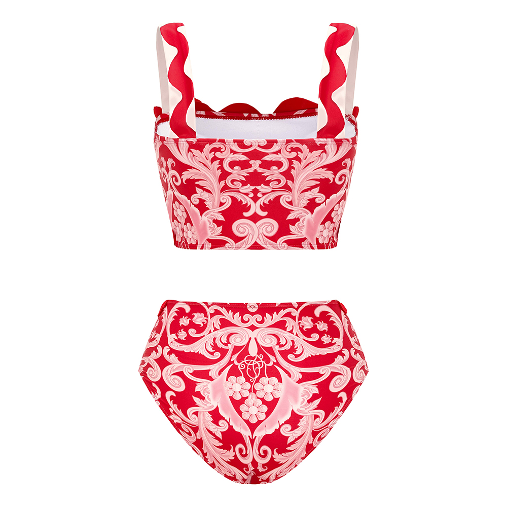 Red Wavy Stripes Printed Bikini Swimsuit and Skirt