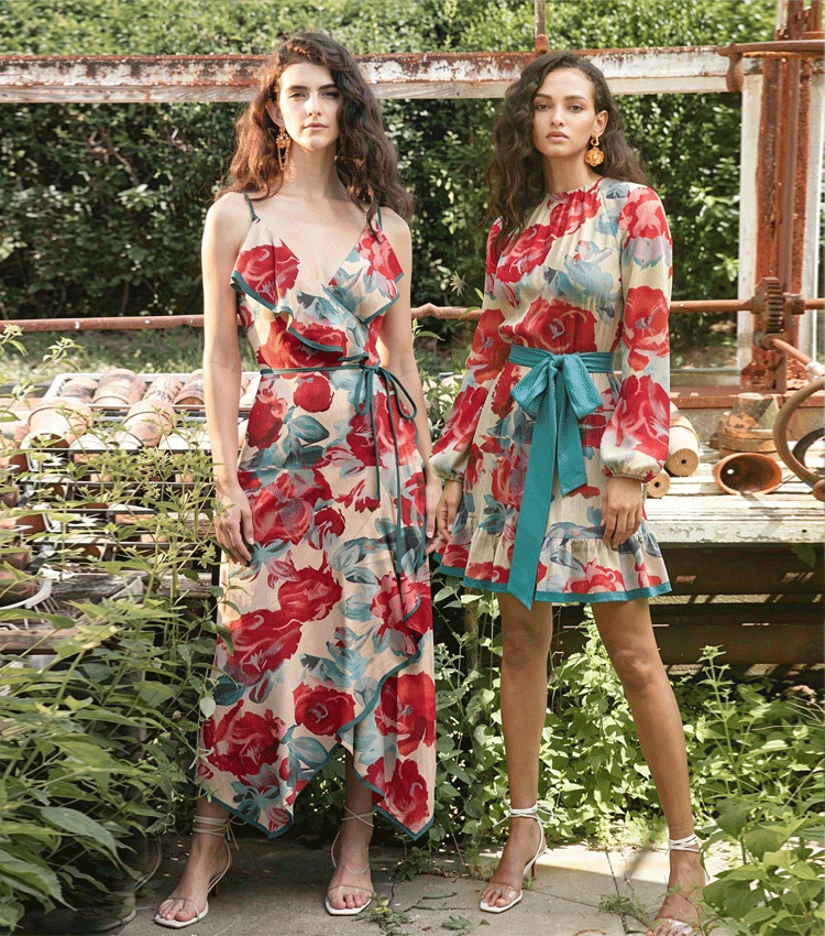 Printed Chiffon Dress