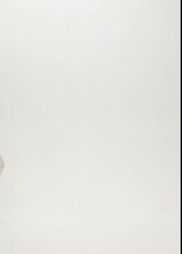 Halterneck Pearl Bandeau High Waist Bikini Swimsuit and Sarong