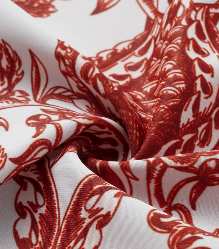 Red Flower Totem Pattern Print Bikini and Skirt