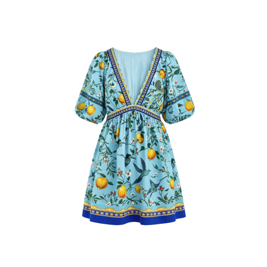 Citrus Bird Print Puff Sleeve V-Neck Mini Dres