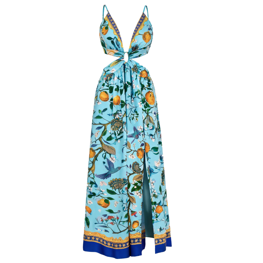 Citrus Bird Print Cutout Split Maxi Dress