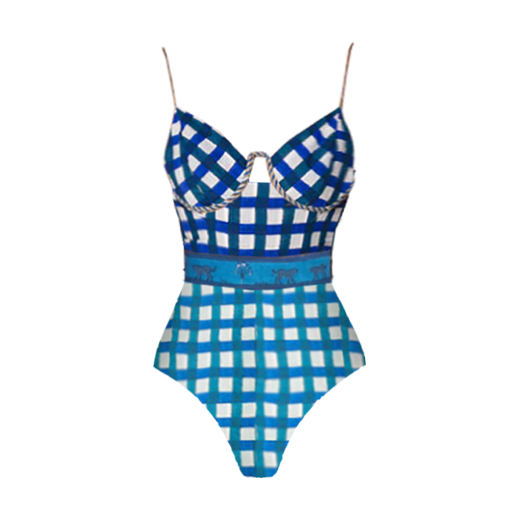 Blue and White Checkered Swimsuit Set(s)