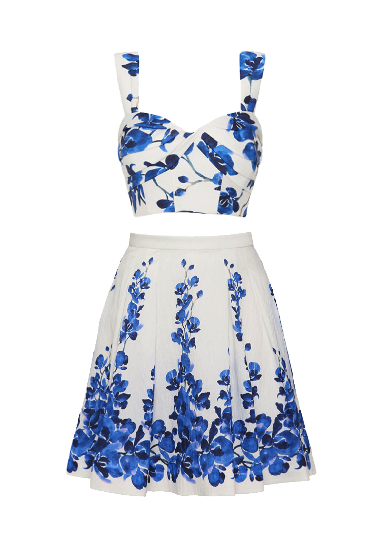 Printed Bikini Swimsuit and Skirt