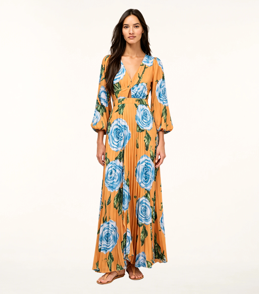 Orange Base Blue Rose Puff Sleeve Pleated Maxi Dress