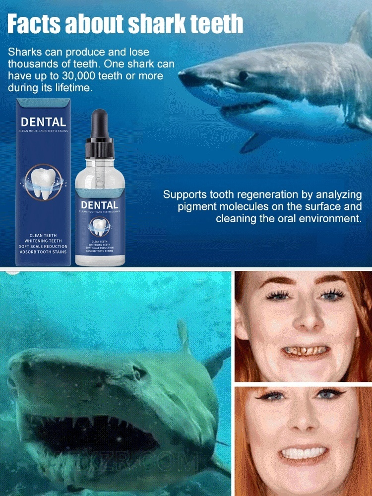 🦈Tooth Regeneration Care Drops🌱By adding shark cartilage protein, we can replicate the tooth regeneration mechanism of sharks