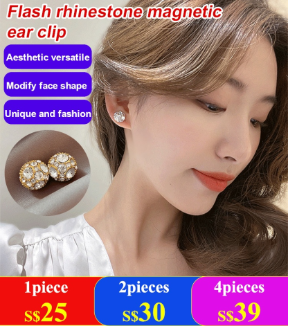 Magnetic Earrings