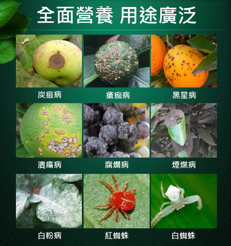 【一瓶兌水1000斤】植物果樹清園劑