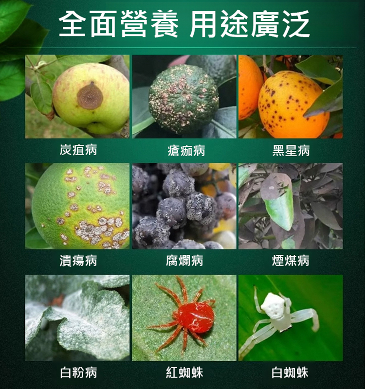【一瓶兌水1000斤】植物果樹清園劑