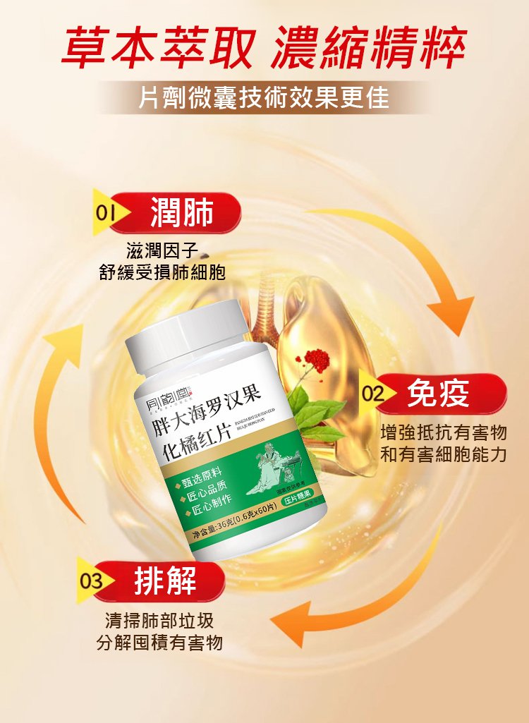 翻译件-HFH-胖大海罗汉果化橘红片-1295798-系统_12.jpg