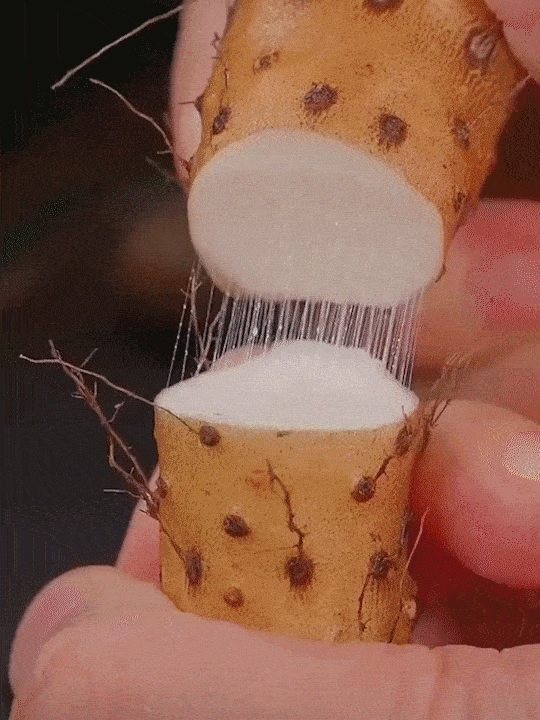 7.gif