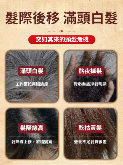 十五味本草黑養茶