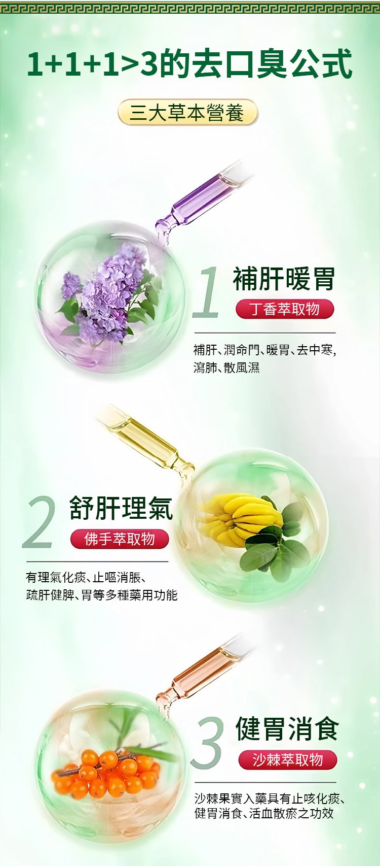 翻译件-SL-益生菌丁香沙棘片-1299837-系统_14.jpg