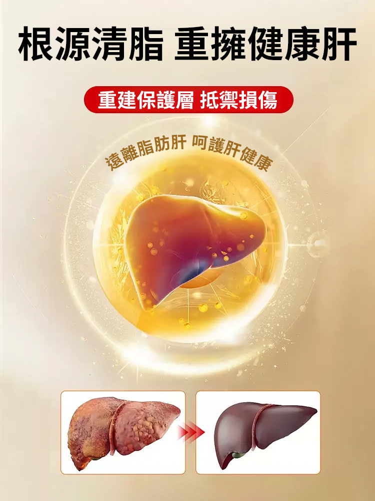 杞菊黃耆決明子片