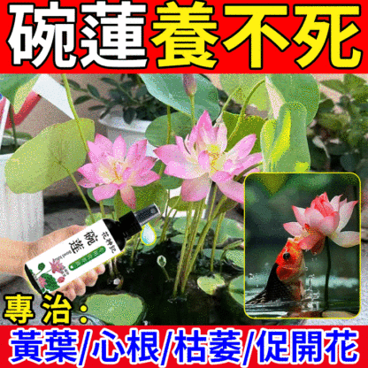 碗蓮專用營養液