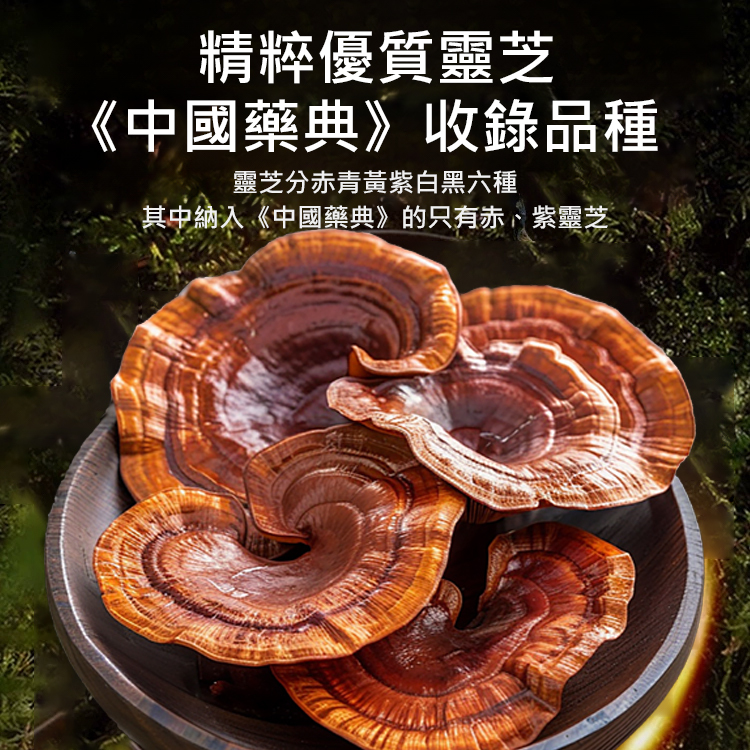 葛根靈芝鹿肝片