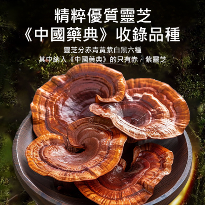 葛根靈芝鹿肝片